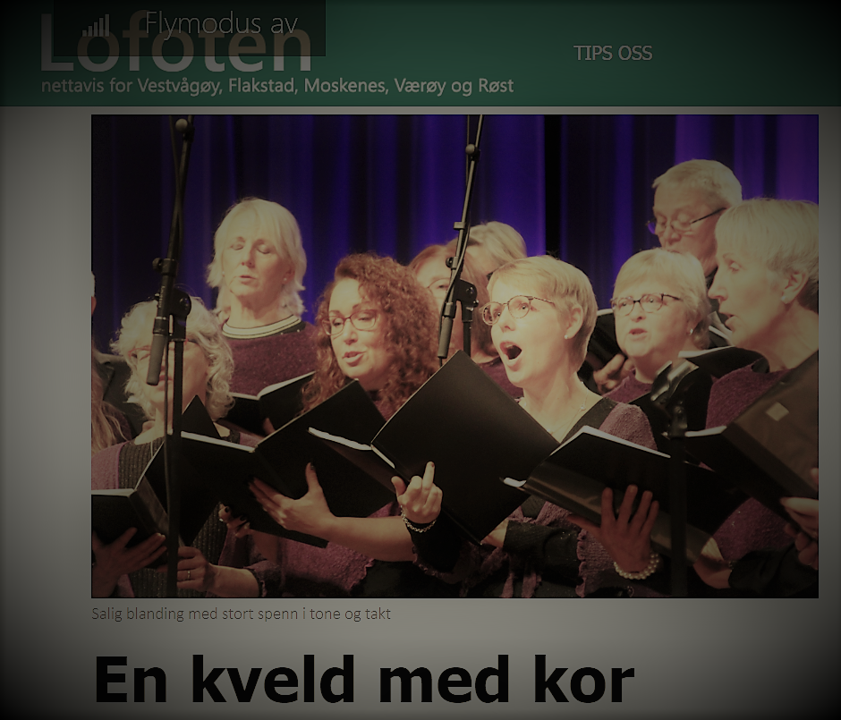 Skjermdump 2019 VVtreff 2